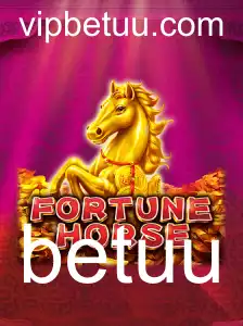betuu Ofertas exclusivas